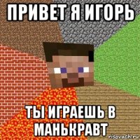 привет я игорь ты играешь в манькравт