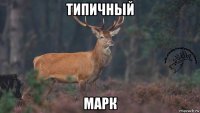 типичный марк