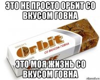 это не просто орбит со вкусом говна это моя жизнь со вкусом говна