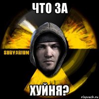 что за хуйня?