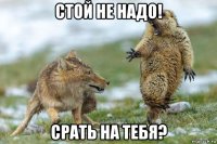 стой не надо! срать на тебя?