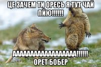 це зачем ти оресь я тут чай пйю!!!!!! аааааааааааааааааа!!!!!! орет бобер