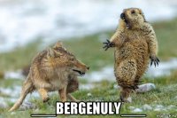  ___bergenuly___