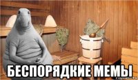  беспорядкие мемы