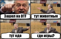 Зашел на DTF тут животные тут еда где игры?