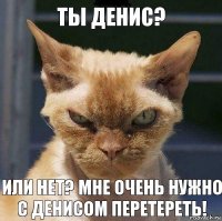 ты денис? или нет? мне очень нужно с денисом перетереть!