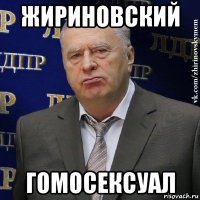 жириновский гомосексуал