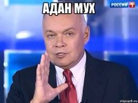 адан мух 