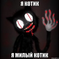 я котик я милый котик