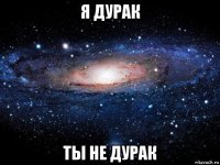 я дурак ты не дурак