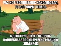 раз кот-волшебник наколдовал, то всё норм теперь а действует ли его палочка волшебная? посмотрим на реакцию эльвирок