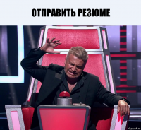 отправить резюме 