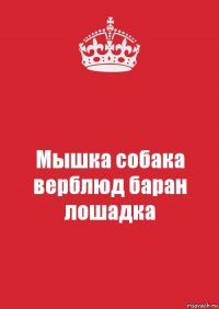 Мышка собака верблюд баран лошадка