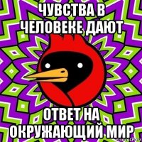 чувства в человеке дают ответ на окружающий мир