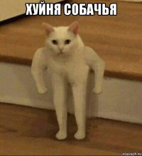 хуйня собачья 