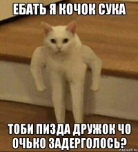 ебать я кочок сука тоби пизда дружок чо очько задерголось?