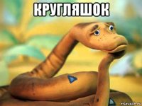 кругляшок 