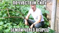 почувствуй силу земли через огурец