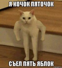 я кочок пяточок съел пять яблок