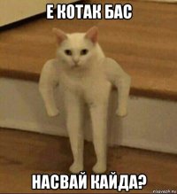 е котак бас насвай кайда?