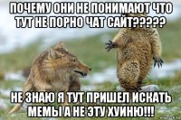 почему они не понимают что тут не порно чат сайт????? не знаю я тут пришел искать мемы а не эту хуиню!!!