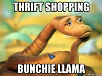 thrift shopping bunchie llama