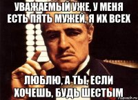 уважаемый уже, у меня есть пять мужей, я их всех люблю, а ты, если хочешь, будь шестым