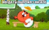 когда ты палучил 5 низачё 