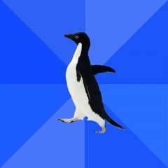  Социально-неуклюжий пингвин