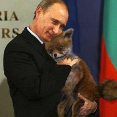 Путин и лиса