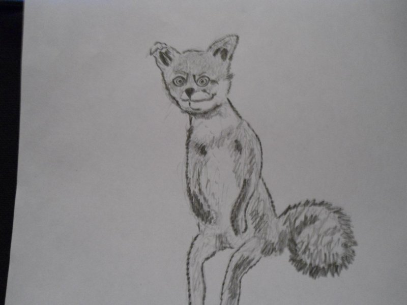 Зарисовка на бумаге, упоротая лиса - Упоротая лиса, лис наркоман, чучело лисы, таксидермия, bad taxidermy fox