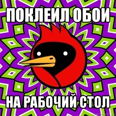 поклеил обои на рабочий стол, Мем Омская птица