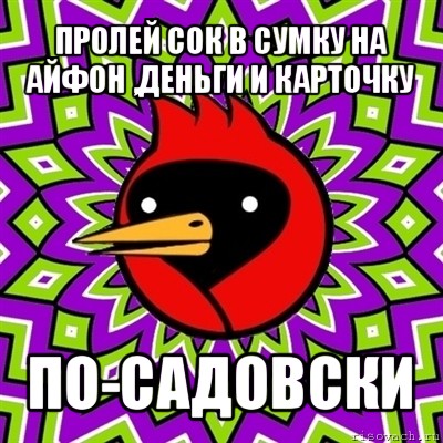 пролей сок в сумку на айфон ,деньги и карточку по-садовски, Мем Омская птица