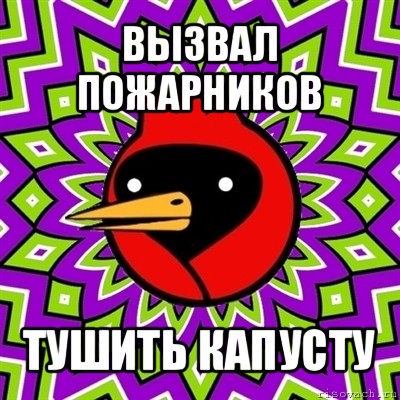 вызвал пожарников тушить капусту, Мем Омская птица