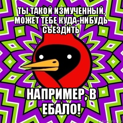 ты такой измученный, может тебе куда-нибудь съездить например, в ебало!, Мем Омская птица