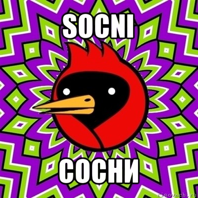 socni сосни, Мем Омская птица