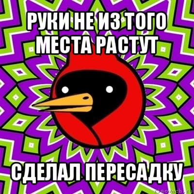 руки не из того места растут сделал пересадку, Мем Омская птица