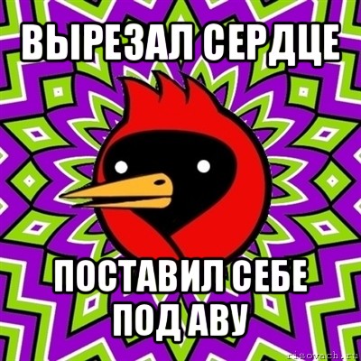 вырезал сердце поставил себе под аву, Мем Омская птица