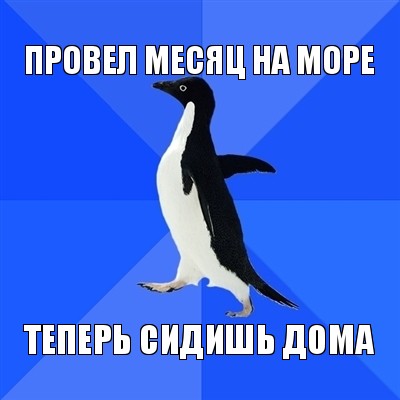 провел месяц на море теперь сидишь дома, Мем  Социально-неуклюжий пингвин