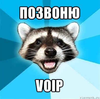 позвоню voip