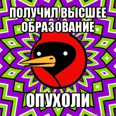 получил высшее образование опухоли, Мем Омская птица