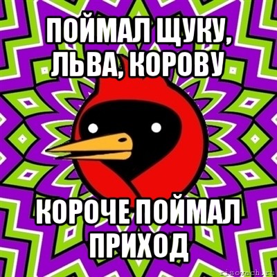 поймал щуку, льва, корову короче поймал приход, Мем Омская птица