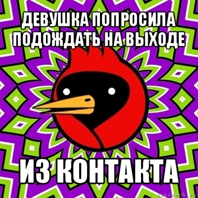 девушка попросила подождать на выходе из контакта, Мем Омская птица