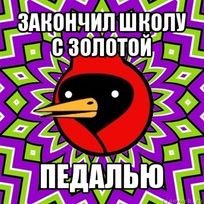 закончил школу с золотой педалью, Мем Омская птица