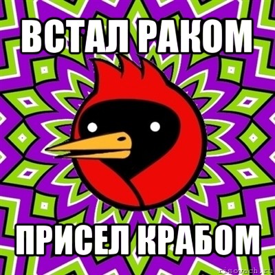 Что значит встал. Омская птица смерть. Омская птица хурма вяжет. Омская птица демотиватор. Омская птица боком валят.