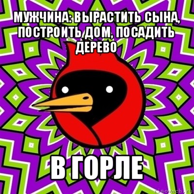 мужчина: вырастить сына, построить дом, посадить дерево в горле, Мем Омская птица