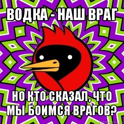 водка - наш враг но кто сказал, что мы боимся врагов?, Мем Омская птица