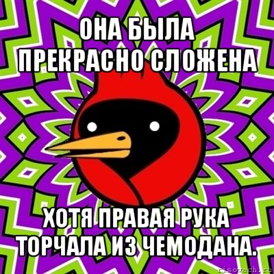 она была прекрасно сложена хотя правая рука торчала из чемодана., Мем Омская птица