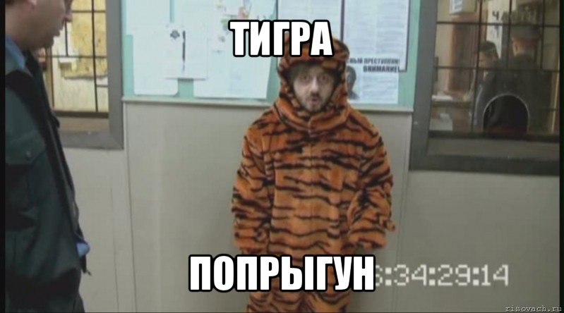 тигра попрыгун, Мем Бородач в костюме тигра (Наша Раша)