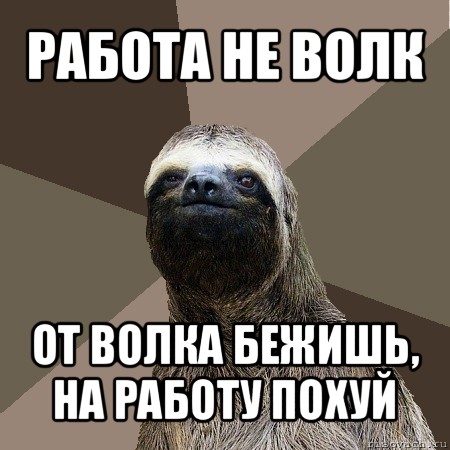 работа не волк от волка бежишь, на работу похуй, Мем Ленивец2